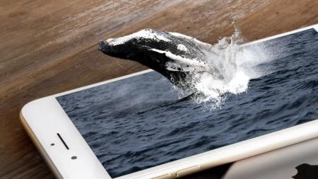 What Really Is Augmented Reality?