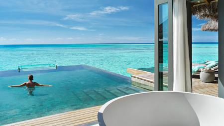 From Parrotfish to Paradise