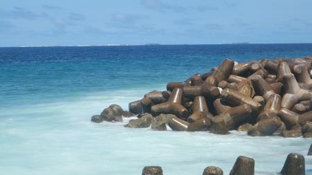Bajiyaa Gaa Barricade